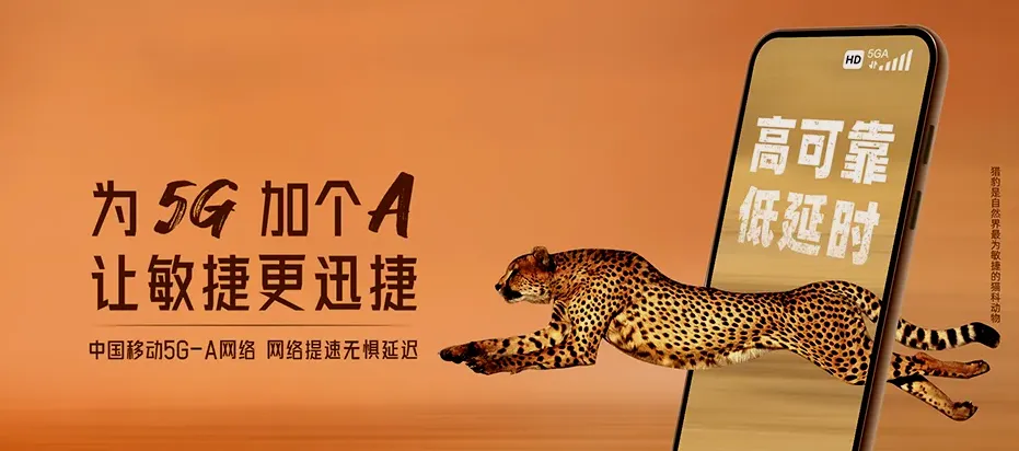 桥西区桥西区路罗镇 移动宽带