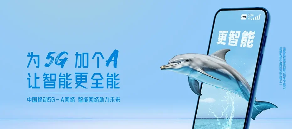 桥西区桥西区张宽街道 移动宽带